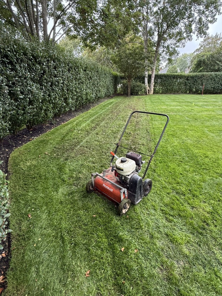 Fall Lawn Care in the Hamptons: The Secret to a Perfect Spring Lawn